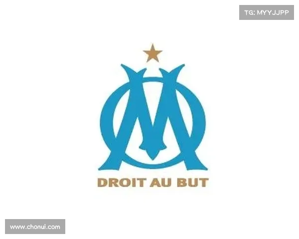 全面解析法甲冠军标志设计元素与象征意义的深度全景详解集要